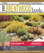 May  Brentwood Bugle