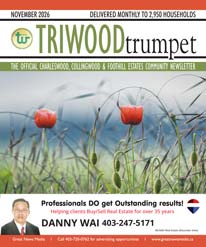 November Triwood Trumpet
