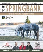 November  Springbank