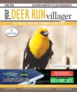 June  Deer Run Villager