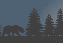 November MLA Report grizzly bear  e