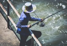 Can Fish Whirl—Chase Their Tails, Upside Down, and All Around? fish river  e