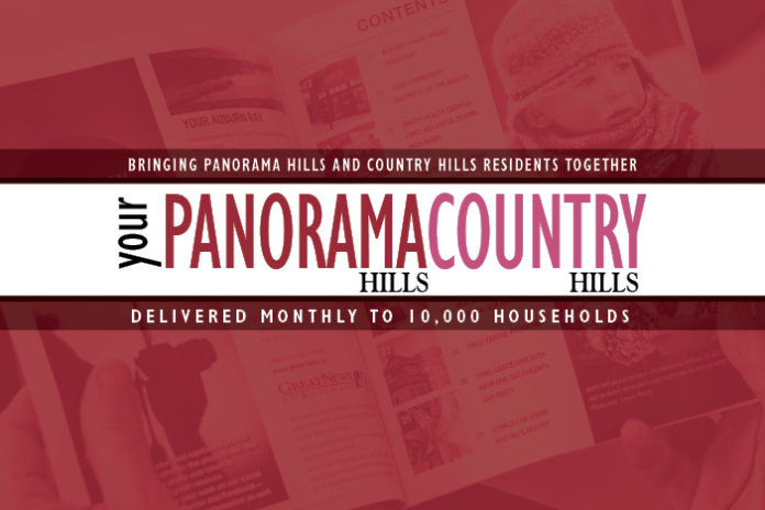Community Newsletter Panorama