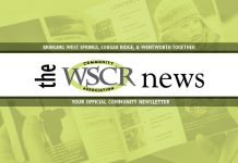 Community Newsletter WSCR
