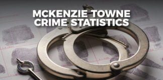 McKenzie Towne Crime Statistics Update