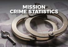 Mission Crime Statistics Update