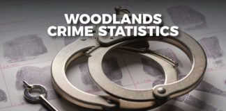 Woodlands Crime Statistics Update