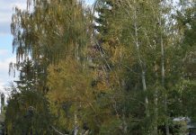 What’s in Your Backyard?