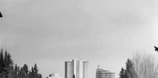 Celebrating Calgary 150 – Oil Capital