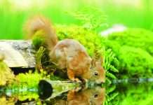 Friends of Fish Creek Update for September