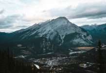 Sulphur Mountain Sasquatch