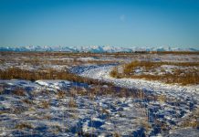 News from the Friends of Nose Hill
