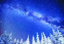 It’s Christmastime in Calgary