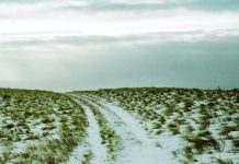 News from the Friends of Nose Hill