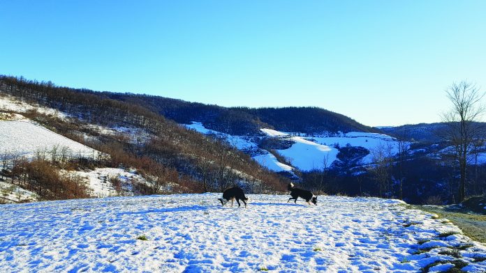 Friends of Nose Hill