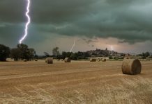 Get Ready for Hail Season: Climate Ready Home Tips and Tools