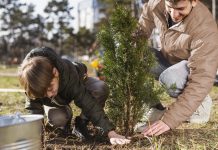 Help Grow Calgary’s Urban Forest