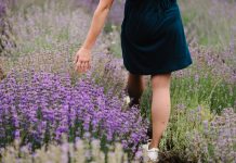 A Fresh Perspective: The Pressure to Make Summer Count