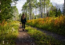 From Gardens to Green Spaces: A New Study Explores Nature’s Role in Cancer Care