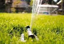 Calgary’s Lawn and Landscape Watering Schedule – Know Your Days and Times