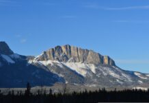 News from the Friends of Nose Hill
