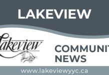 Paint The Pavement: A Community Effort to Promote Safety and Beautify Lakeview