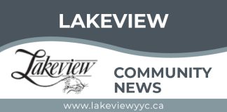 Paint The Pavement: A Community Effort to Promote Safety and Beautify Lakeview