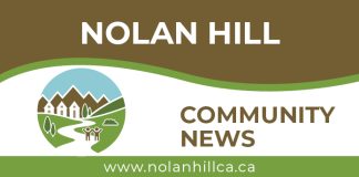 Nolan Hill – Symons Valley Park Update