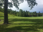 Elbow Park Calgary Community Green Space Park Tree