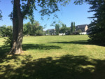 Lincoln Park Calgary Community Beautiful Park Large Tree
