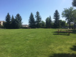 Lincoln Park Calgary Community Green Space Park Picnic Bench
