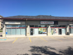 Lincoln Park Calgary Community Life Smiles Dental Red Nik Surf and Swim Local Businesses