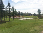 Signal Hill Calgary Community Court Green Soccer Grass