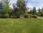 Signal Hill Calgary Community Park Grass Flowerbed