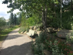 Signal Hill Calgary Community Pathway Park Bench Walking