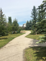 Signal Hill calgary Community Winding Path Park Walking