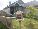 Springbank Hill Free Little Library Calgary