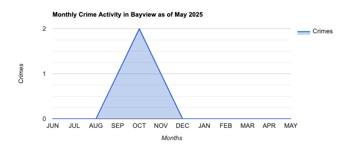 Bayview Crime Activity November 2024.jpg