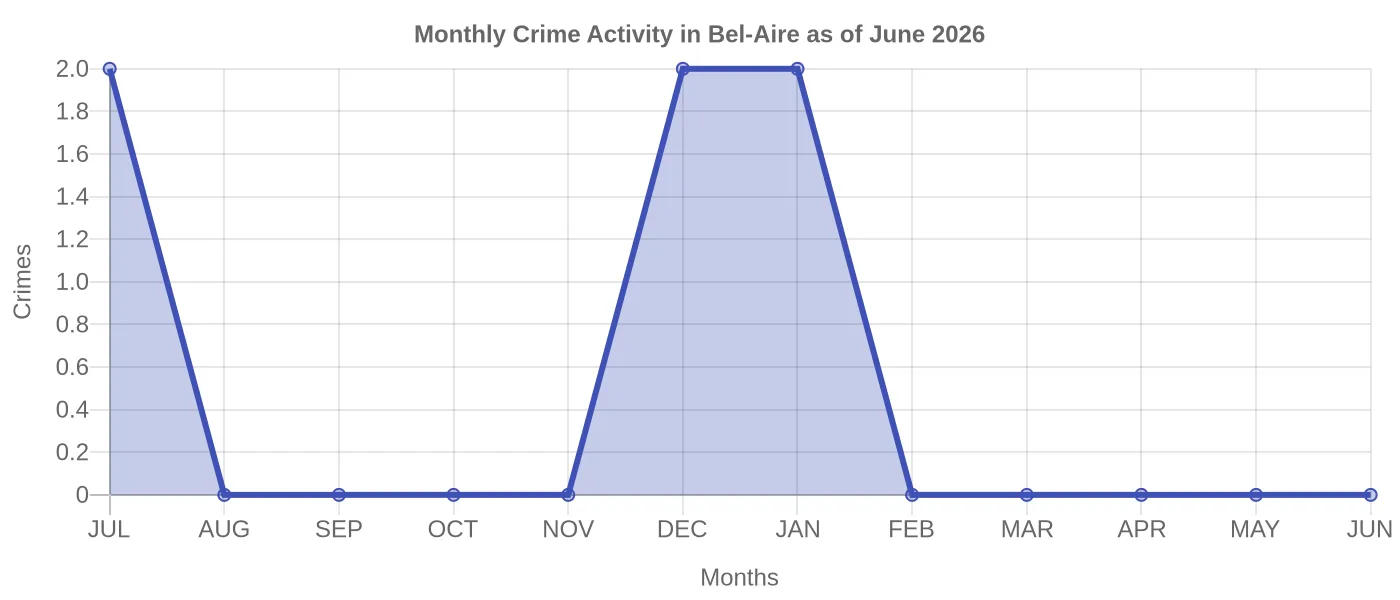 Monthly Crime Activity Chart