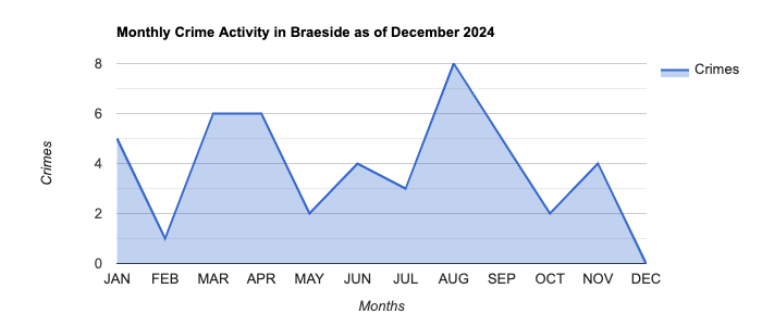 Braeside Crime Activity November 2024.jpg