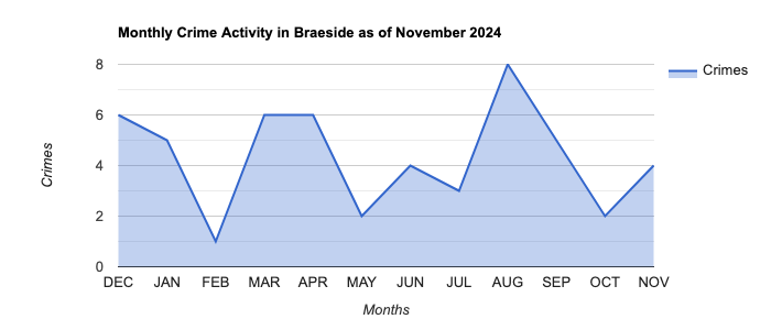 Braeside Crime Activity November 2024.jpg