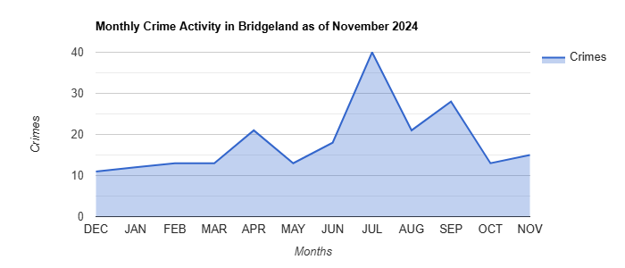 Bridgeland Crime Activity November 2024.jpg