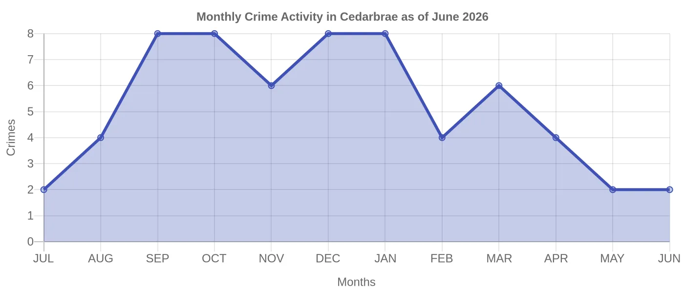 Monthly Crime Activity Chart