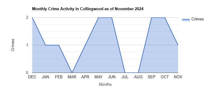 Collingwood Crime Activity November 2024.jpg