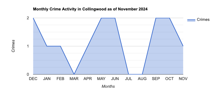 Collingwood Crime Activity November 2024.jpg