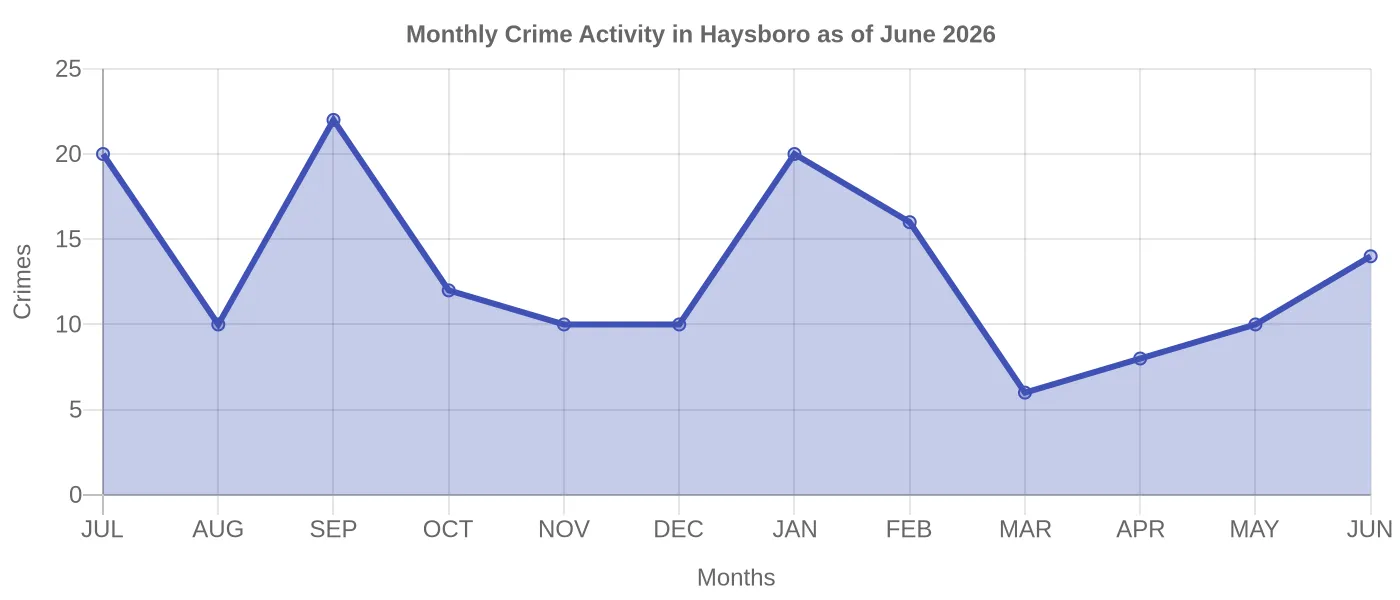 Monthly Crime Activity Chart