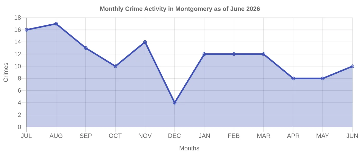 Monthly Crime Activity Chart