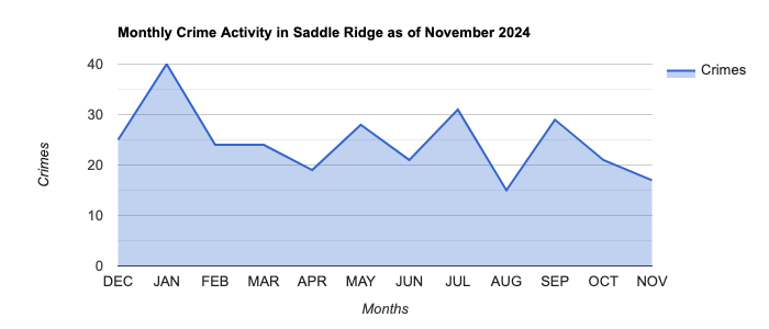 Saddle Ridge Crime Activity November 2024.jpg