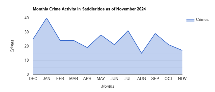 Saddleridge Crime Activity November 2024.jpg