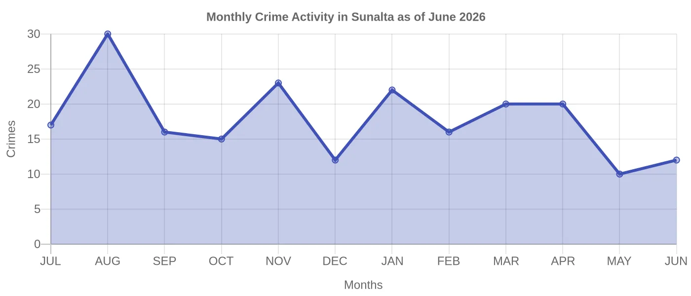 Monthly Crime Activity Chart